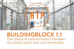 HIP - Buildingblock 1.1 - De chemische communicatie tussen de aardappelplant en cyste-nematoden als basis voor duurzame verbetering van de aardappelopbrengst