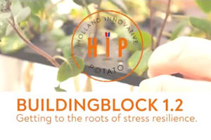 HIP - Buildingblock 1.2 - Stressbestendigheid van aardappelplanten