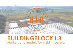 HIP - Buildingblock 1.3 - Markers en modellen voor opbrengst in aardappel
