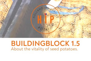 HIP - Buildingblock 1.5 - Over de vitaliteit van pootaardappelen